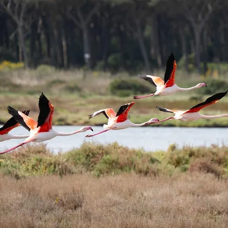 Casa Dei Giganti Tatil Evi *